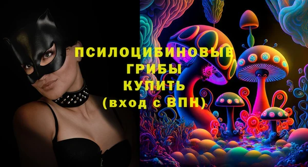 синтетический гашиш Алексин