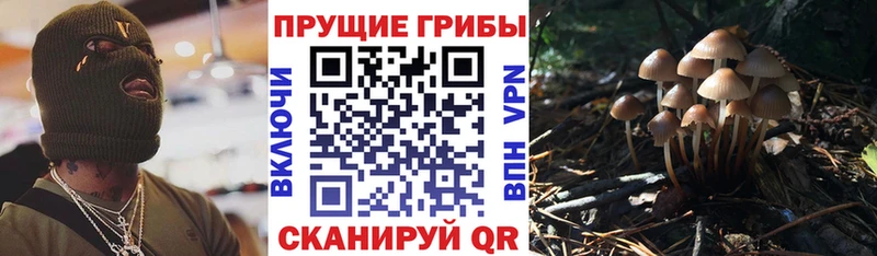Галлюциногенные грибы прущие грибы  купить наркотик  Снежинск 